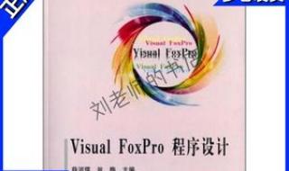 VisualFoxpro常用的数据类型有哪些 visualfoxpro6.0